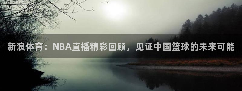 雨燕360体育最新更新内容：新浪体育：NBA直播精彩回顾，见证中国篮球的未来可能
