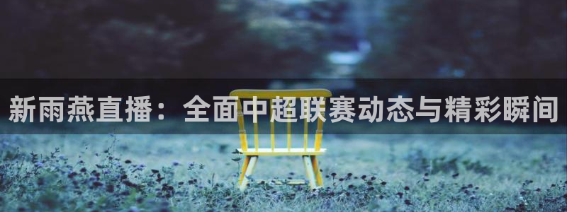 360直播山东体育直播：新雨燕直播：全面中超联赛动态与精彩瞬间