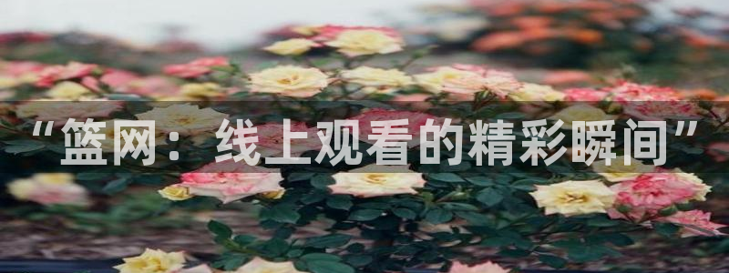 360直播网 足球直播：“篮网：线上观看的精彩瞬间”
