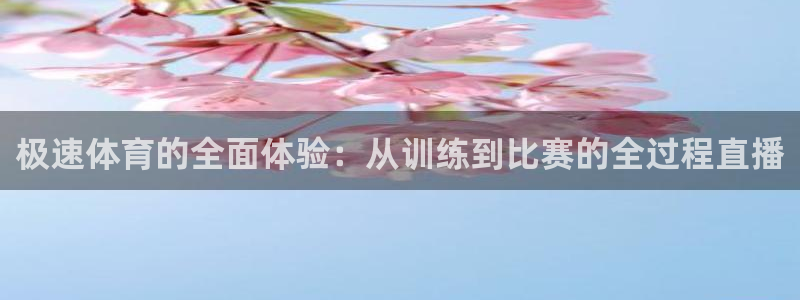 雨燕360体育直播nba免费入口：极速体育的全面体验：从训练到比赛的全过程直播