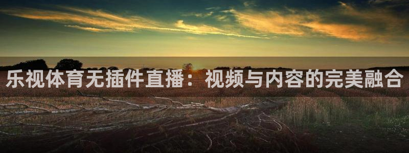雨燕360直播高清nba：乐视体育无插件直播：视频与内容的完美融合