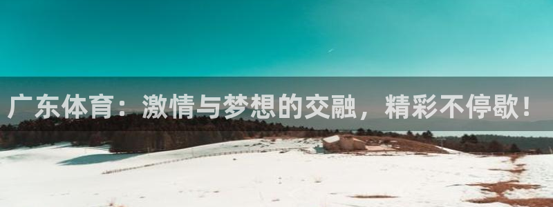 360足球直播网：广东体育：激情与梦想的交融，精彩不停歇！