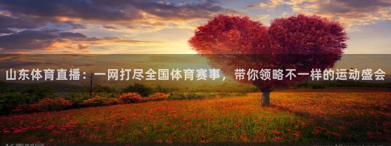 360体育直播网：山东体育直播：一网打尽全国体育赛事，带你领略不一样的运动盛会