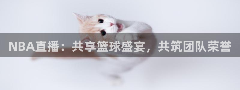 足球直播360直播频道：NBA直播：共享篮球盛宴，共筑团队荣誉
