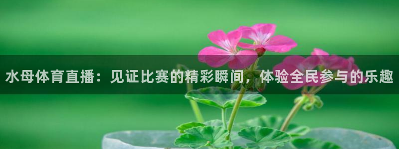 雨燕360体育直播足球罗甲：水母体育直播：见证比赛的精彩瞬间，体验全民参与的乐趣