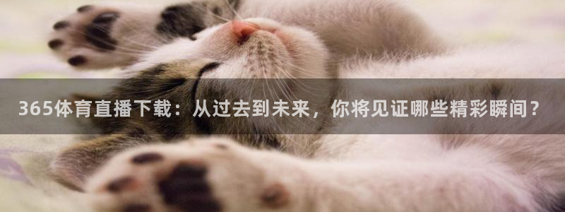 360风云足球直播：365体育直播下载：从过去到未来，你将见证哪些精彩瞬间？