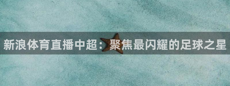 雨燕360直播nba在线观看：新浪体育直播中超：聚焦最闪耀的足球之星