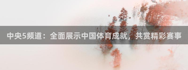 360体育直播在线看：中央5频道：全面展示中国体育成就，共赏精彩赛事