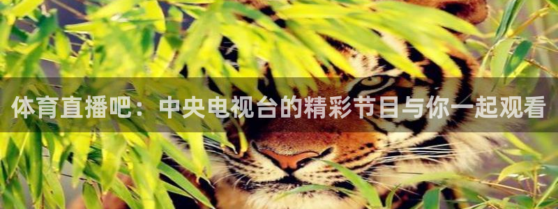直播360com：体育直播吧：中央电视台的精彩节目与你一起观看