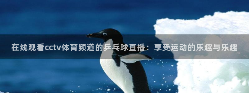 360体育雨燕直播：在线观看cctv体育频道的乒乓球直播：享受运动的乐趣与乐趣