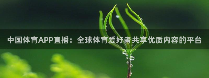 360体育直播吧：中国体育APP直播：全球体育爱好者共享优质内容的平台