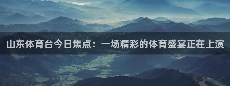 360体育足球直播网：山东体育台今日焦点：一场精彩的体育盛宴正在上演