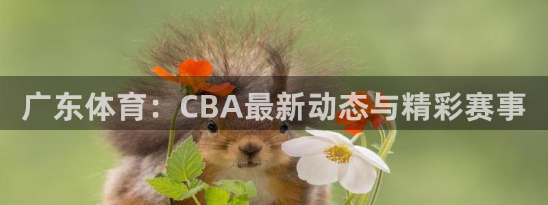 360直播体育免费：广东体育：CBA最新动态与精彩赛事