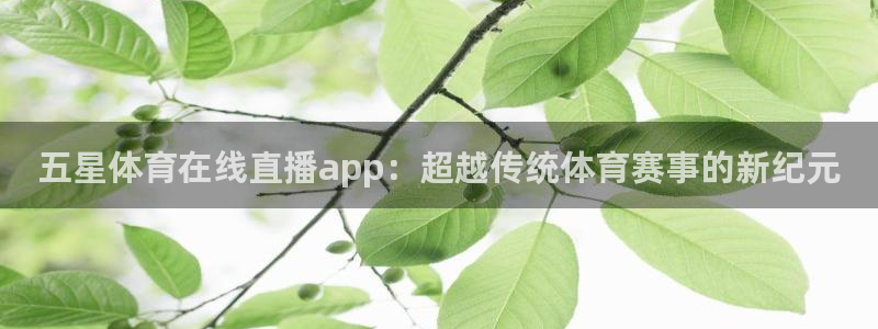360免费直播体育直播在线观看：五星体育在线直播app：超越传统体育赛事的新纪元