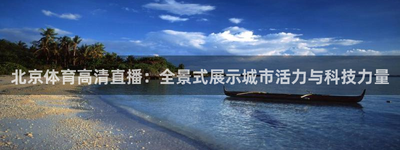 雨燕360体育直播nba免费入口：北京体育高清直播：全景式展示城市活力与科技力量
