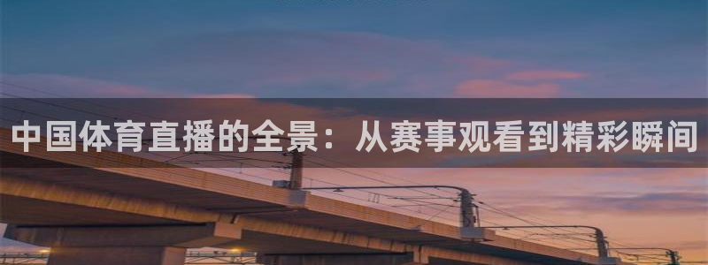 雨燕360体育直播足球罗甲：中国体育直播的全景：从赛事观看到精彩瞬间